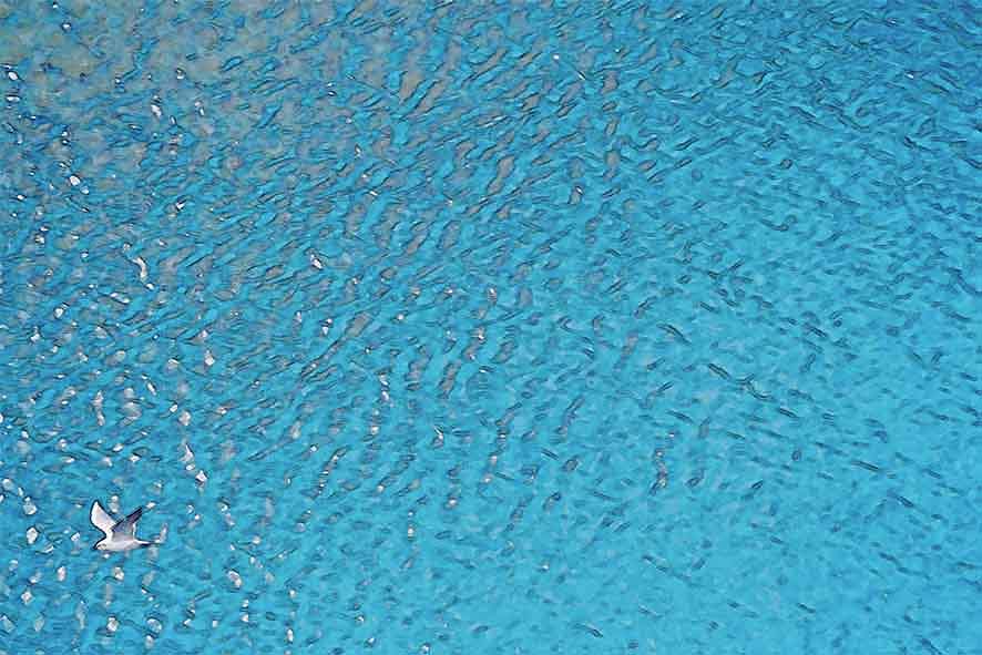 芦屋プラン株式会社 宇治市植物公園